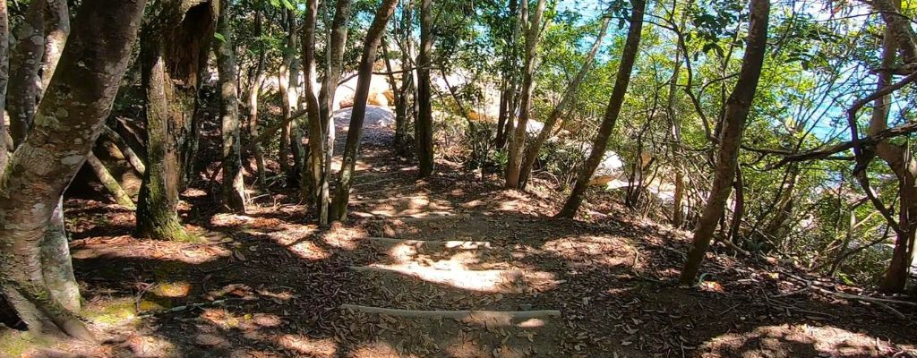 Trilhas Ilha Grande
